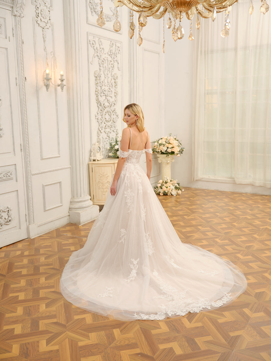 Weitese Off-The-Shoulder Sleeveless Long Tulle Wedding Dresses With Appliques