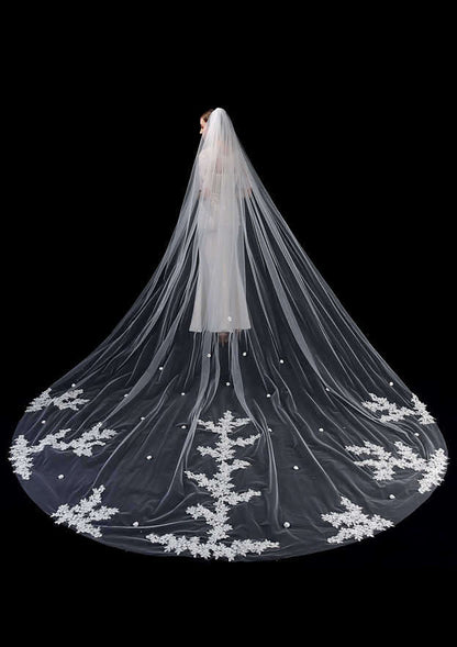 One-tier Cathedral Bridal Veils With Applique