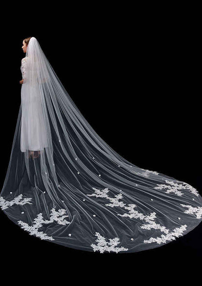 One-tier Cathedral Bridal Veils With Applique